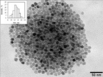 ПЭМ-изображение наночастиц магнетита средним размером 13±2 нм, полученных в присутствии 1,2-гексадекандиола и олеиновой кислоты
