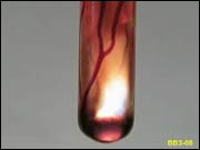 Галогены. Реакция алюминия (гранула) с бромом