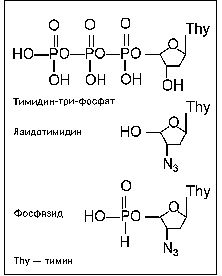 virus2.gif (2591 bytes)