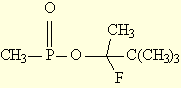 Image12.gif (1412 bytes)